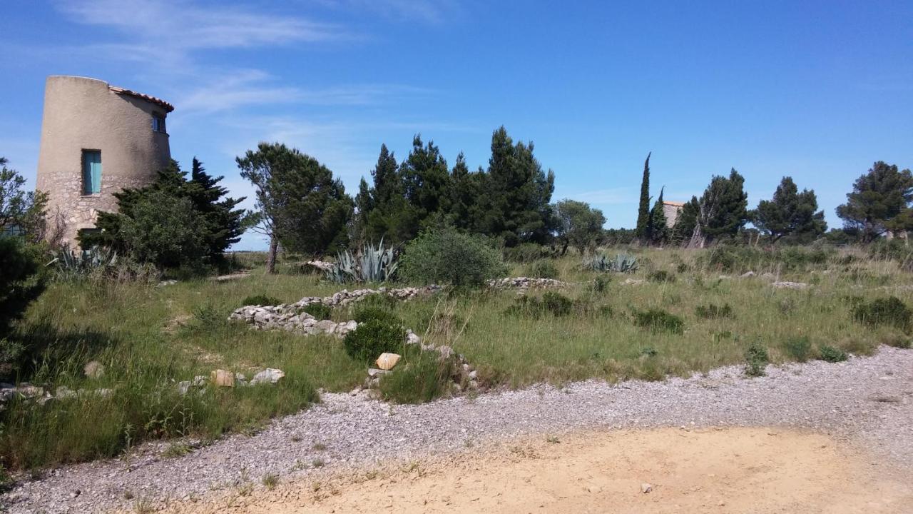 Gite La Capelle Roquefort Des Corbieres Sigean Narbonne Aude Luaran gambar